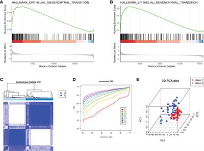 Immune micro-environment and drug analysis of peritoneal endometriosis based on epithelial-mesenchymal transition classification